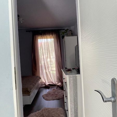 Garsoniera La Casa Lägenhet Timişoara Exteriör bild