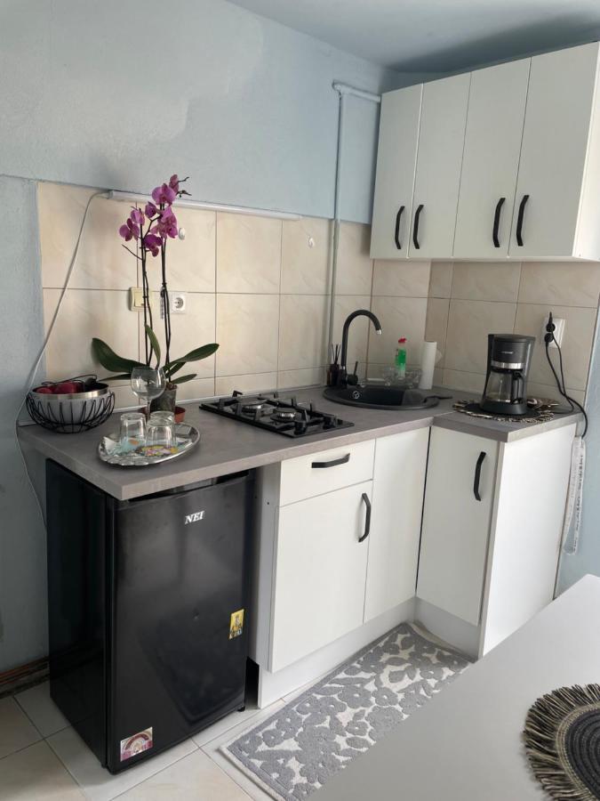 Garsoniera La Casa Lägenhet Timişoara Exteriör bild